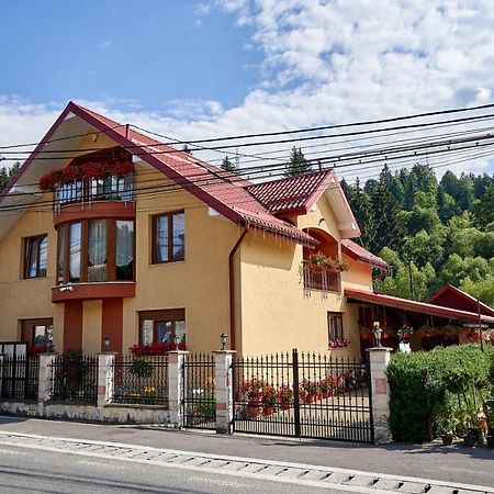 Отель Casa Cu Flori Мойсей Экстерьер фото