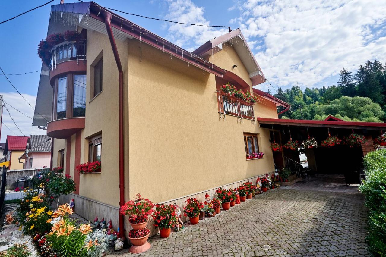Отель Casa Cu Flori Мойсей Экстерьер фото