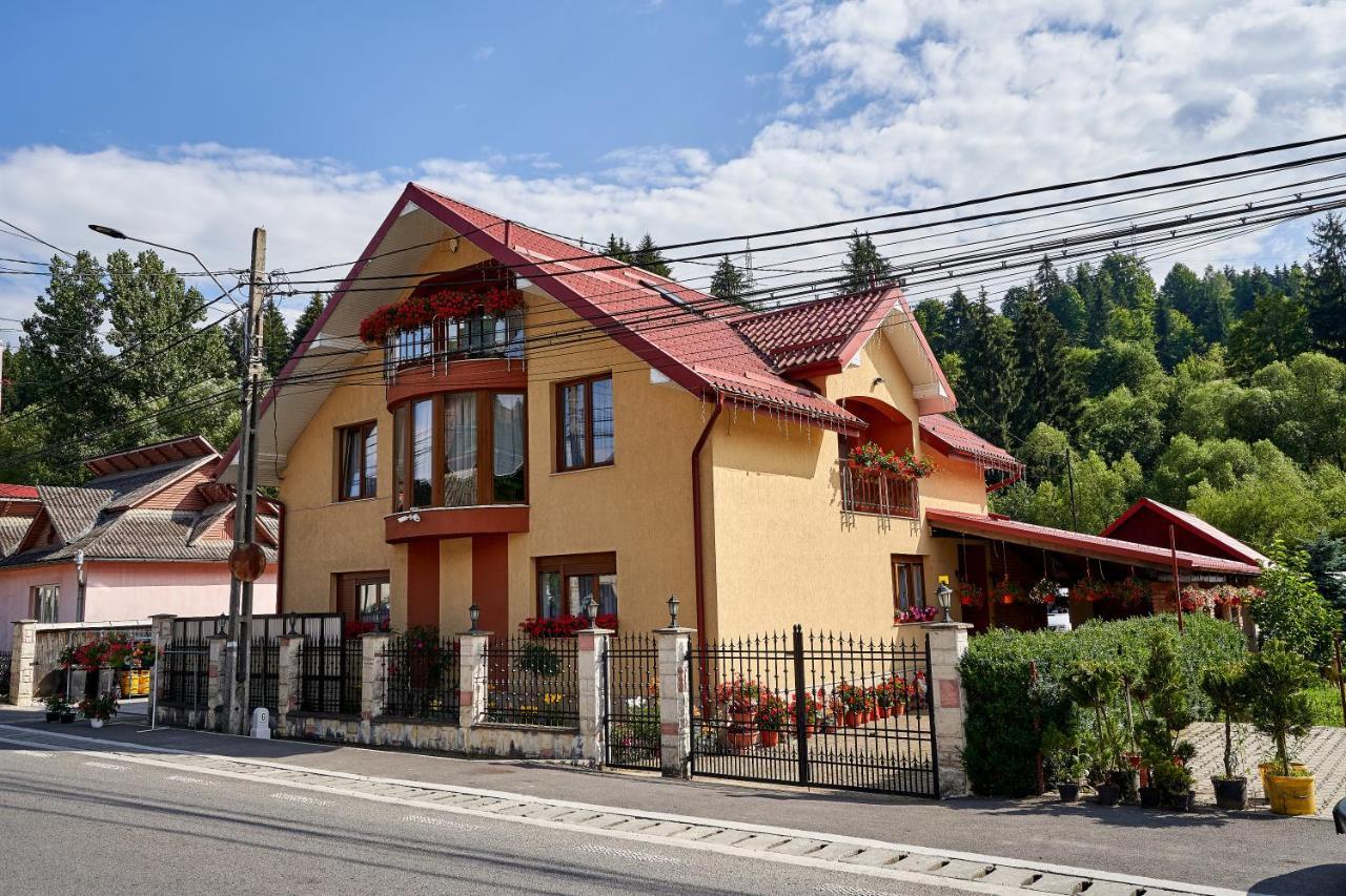 Отель Casa Cu Flori Мойсей Экстерьер фото