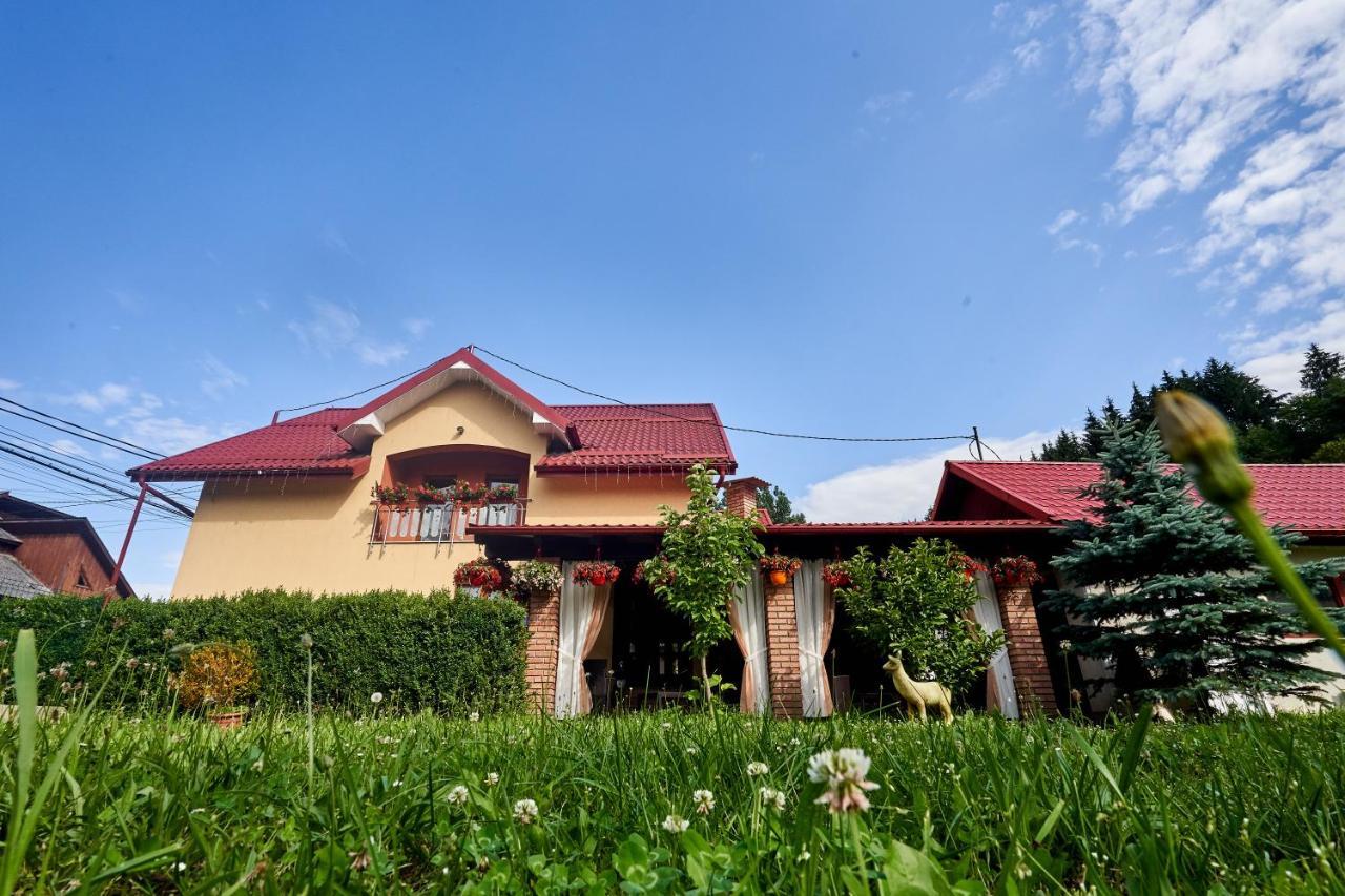 Отель Casa Cu Flori Мойсей Экстерьер фото
